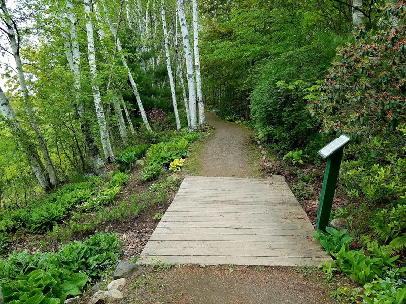 Trails That Wind Through Different Worlds
