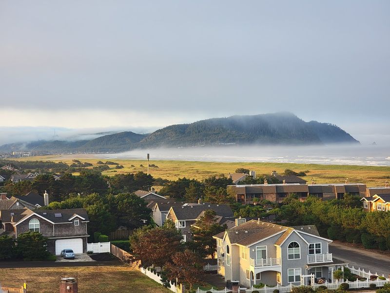 Trails That Wind Through Forest, Estuary, And Ocean Views