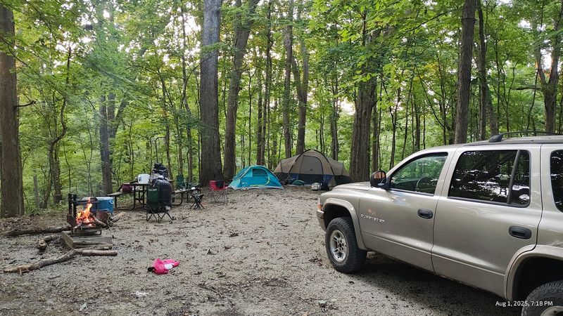 Camping Under A Real Forest Canopy
