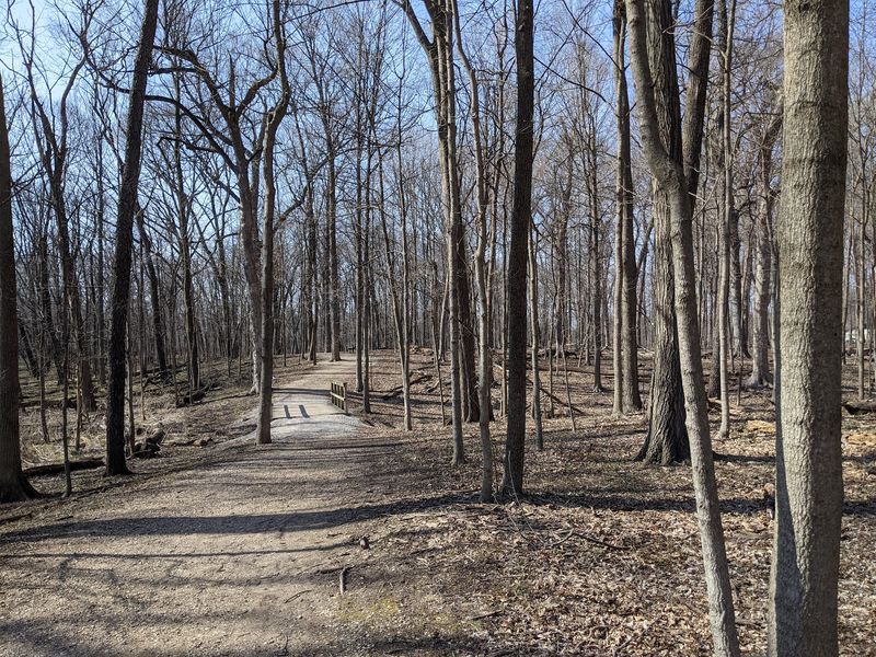 Trails That Wind Through Woods And Along The River