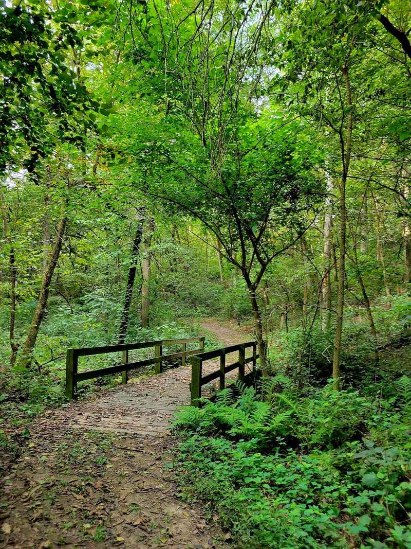 Trails Through Forests, Prairies, and Meadows