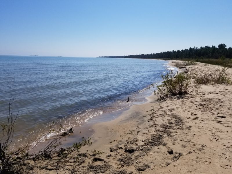 Subtle History In The Sand