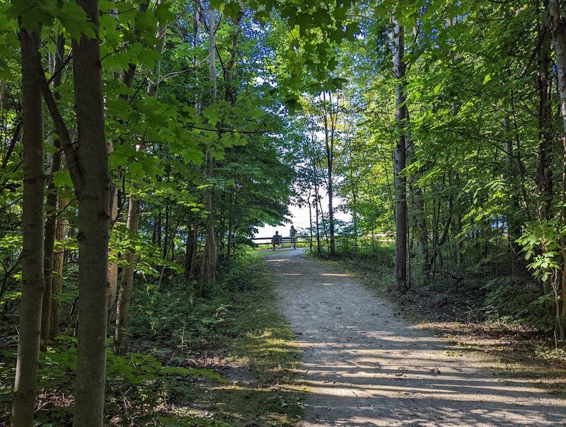 Trails Through Woods And Wide-Open Meadows Trails Through Woods And Wide-Open Meadows