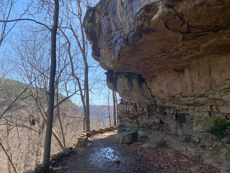 Rustic Stays With Modern Comforts