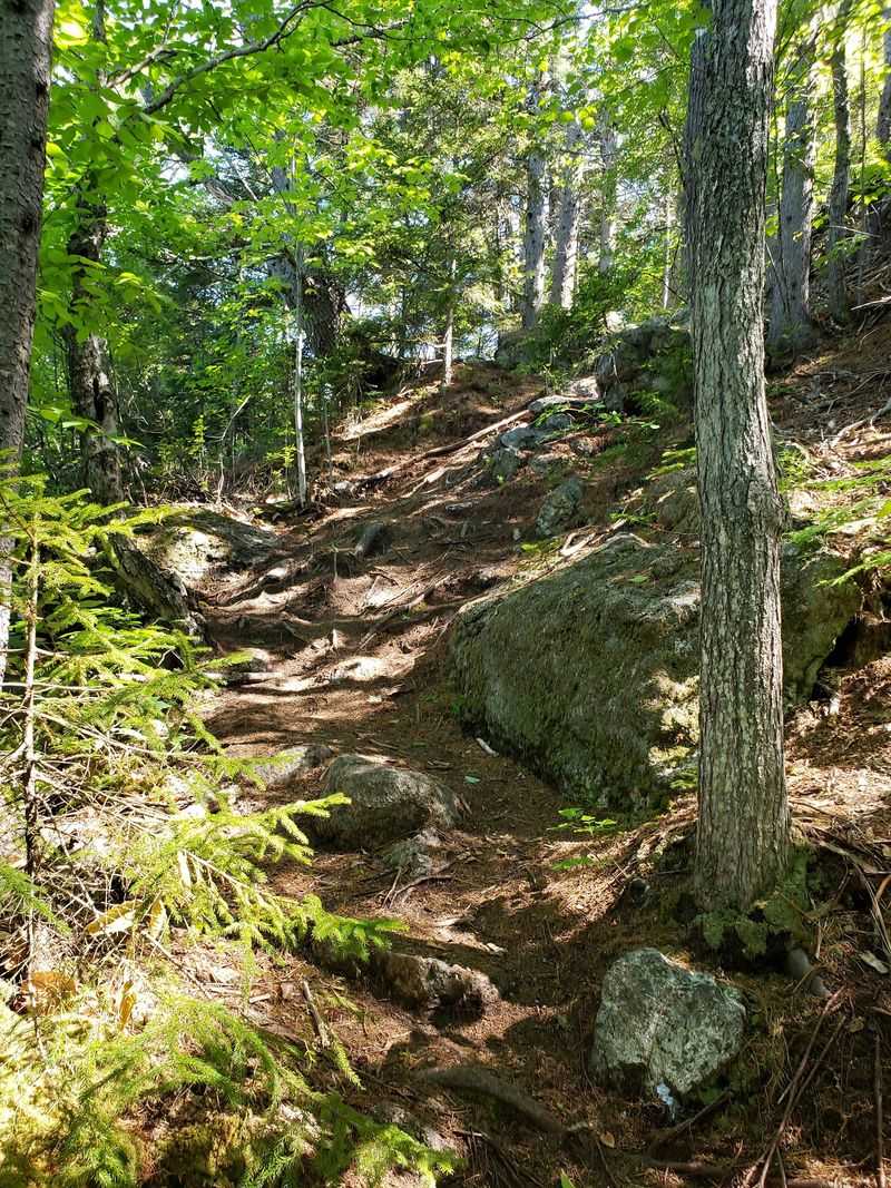 Trails Wait For Every Kind Of Explorer Here Trails Wait For Every Kind Of Explorer Here