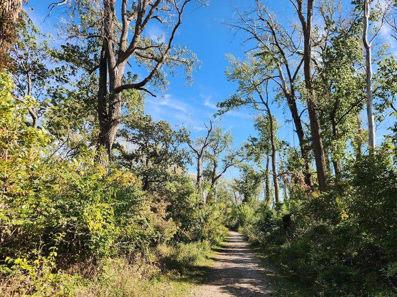 Trails, Wetlands, And Wildlife Around Every Bend Trails, Wetlands, And Wildlife Around Every Bend