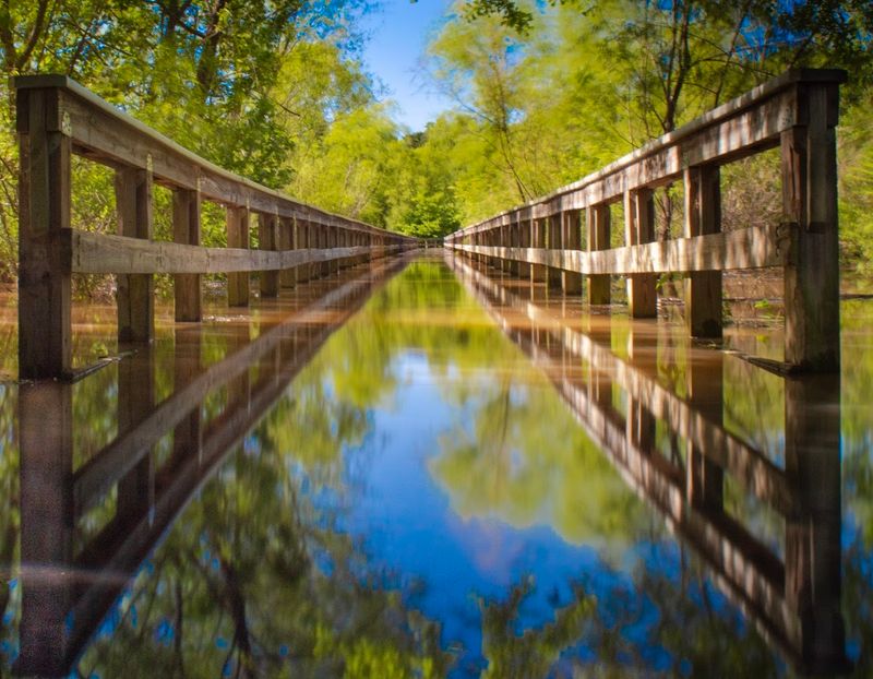 Trails, Wildlife, And Native Wildflowers Across 3,336 Acres Trails, Wildlife, And Native Wildflowers Across 3,336 Acres