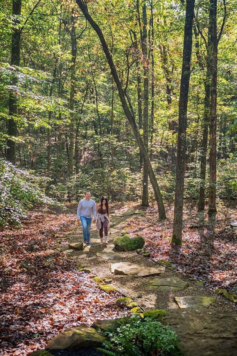 Trails, Wildlife, And The Forest All Around You
