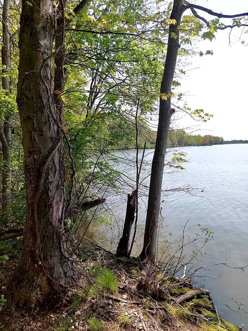 Trails, Wildlife, and Quiet Walks