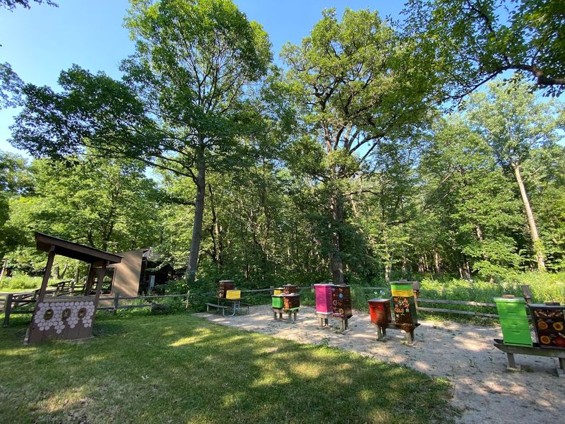 A Hidden Pollinator Haven