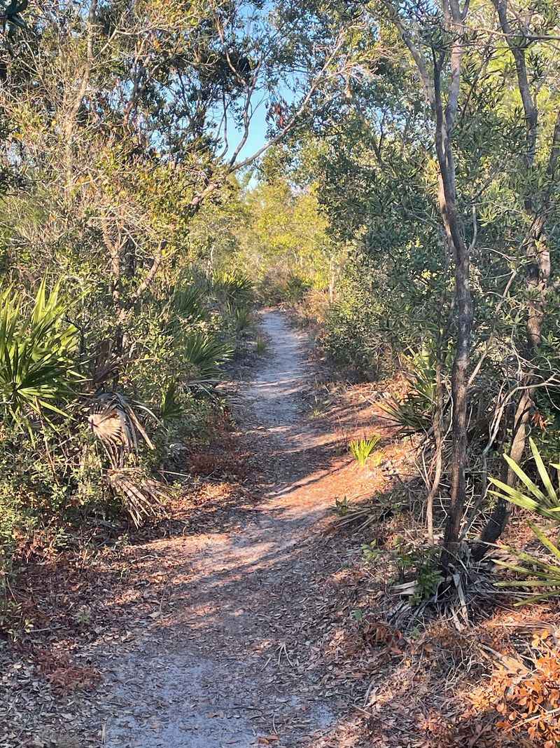 Trails Worth Lacing Up Your Shoes For