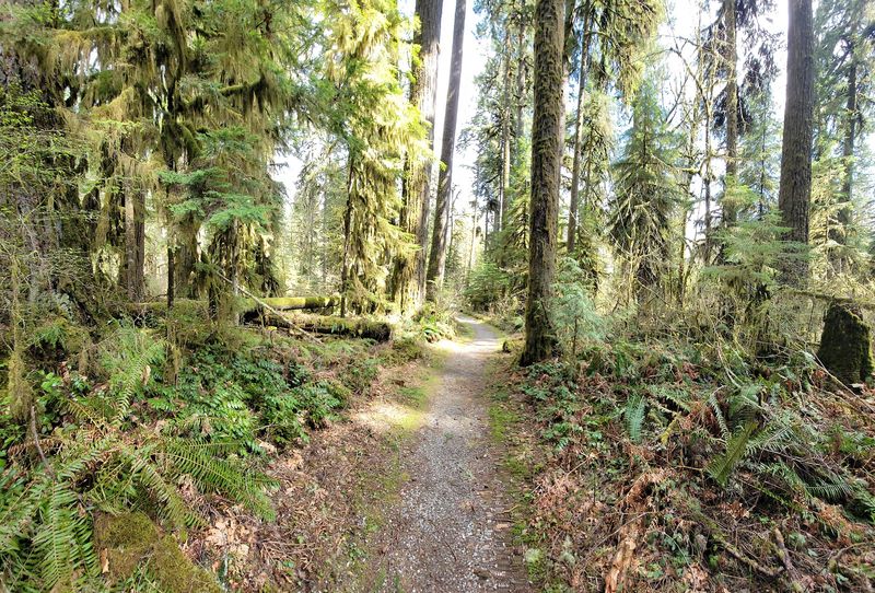 Trails for Every Kind of Walker
