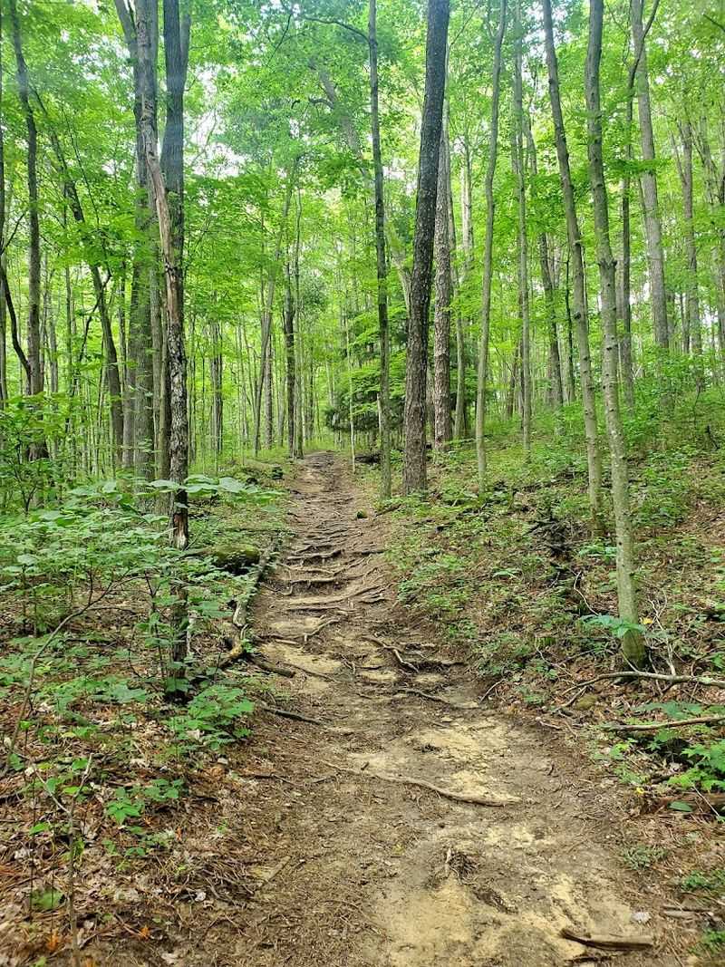 Trails for Every Level of Adventurer