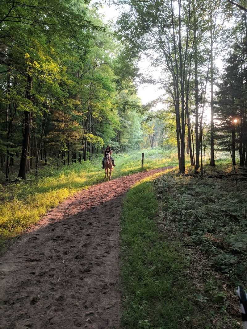 Trails for Every Pace and Purpose