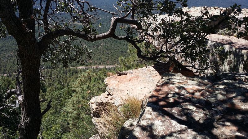 Trails for Hikers And Mountain Bikers