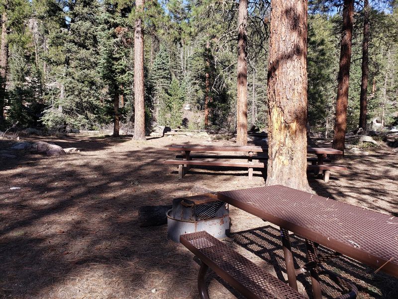 Transfer Park Campground, near Durango