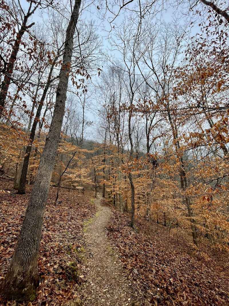 The Hike That Earns Every View