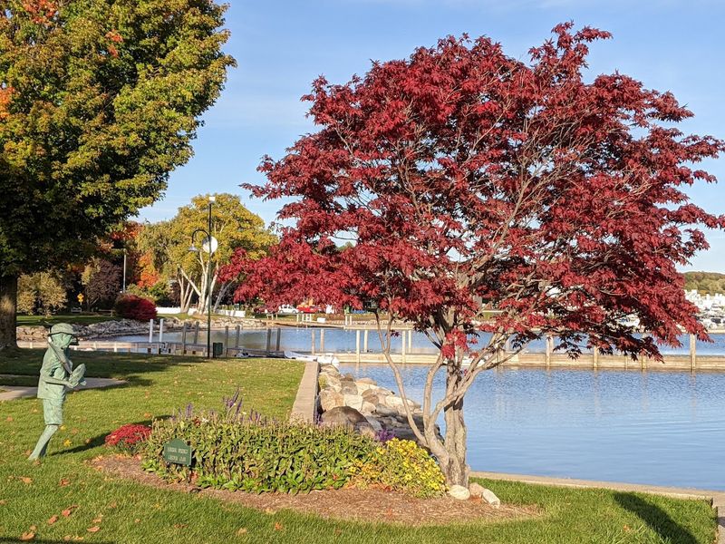 Harbor Springs To Good Hart On Lake Shore Drive