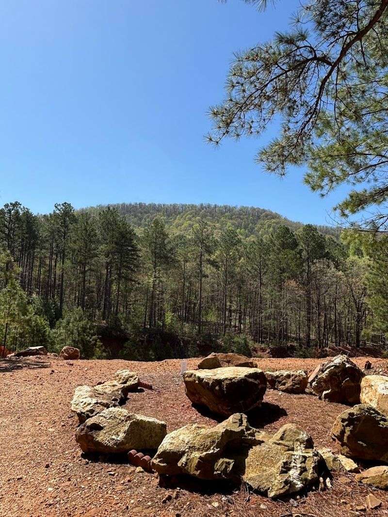 Treasures Beneath The Pines