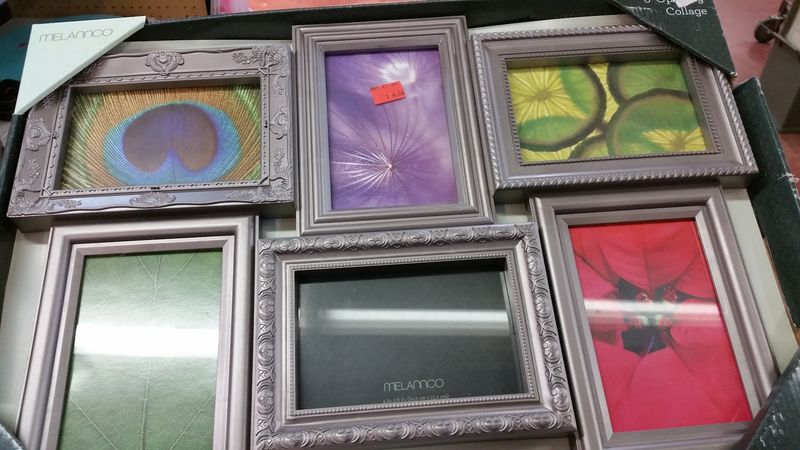 Something New Every Time You Visit