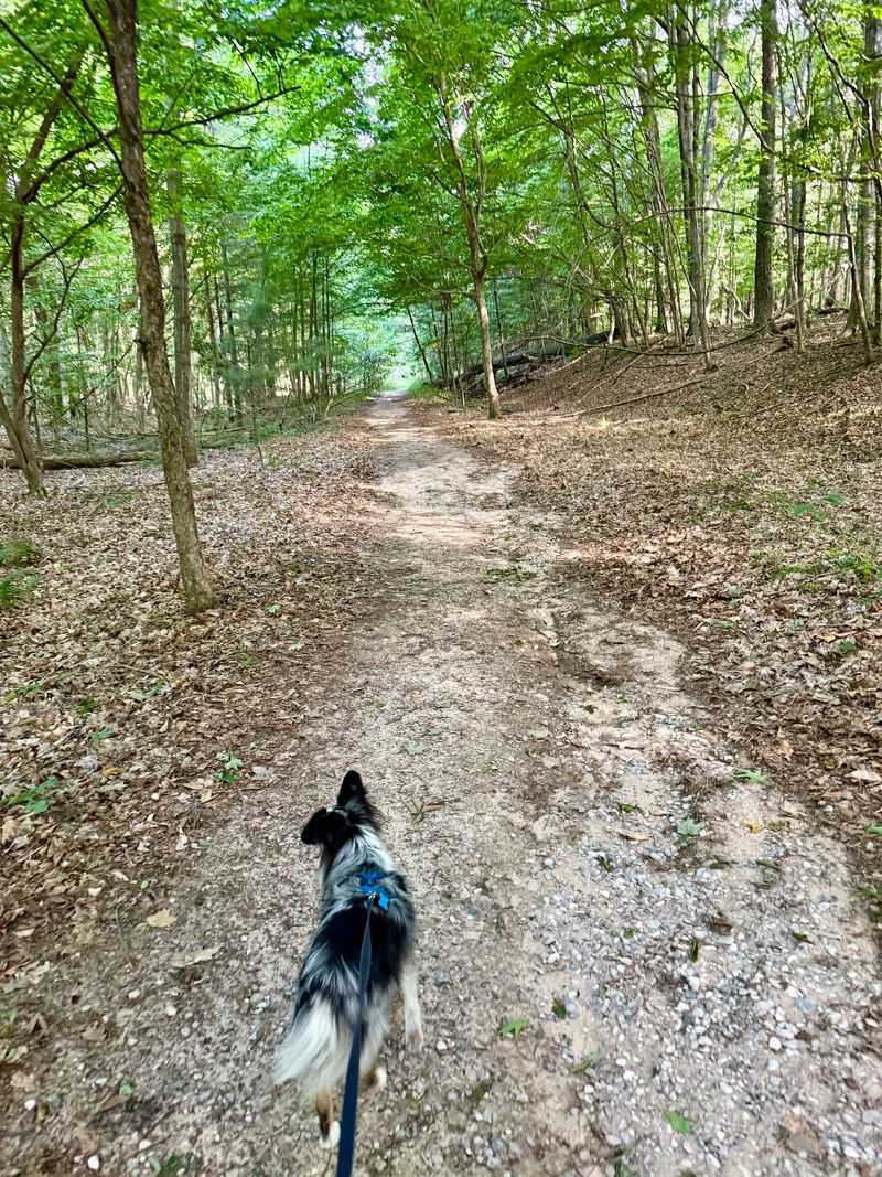 Treat The Climb Like A Real Hike