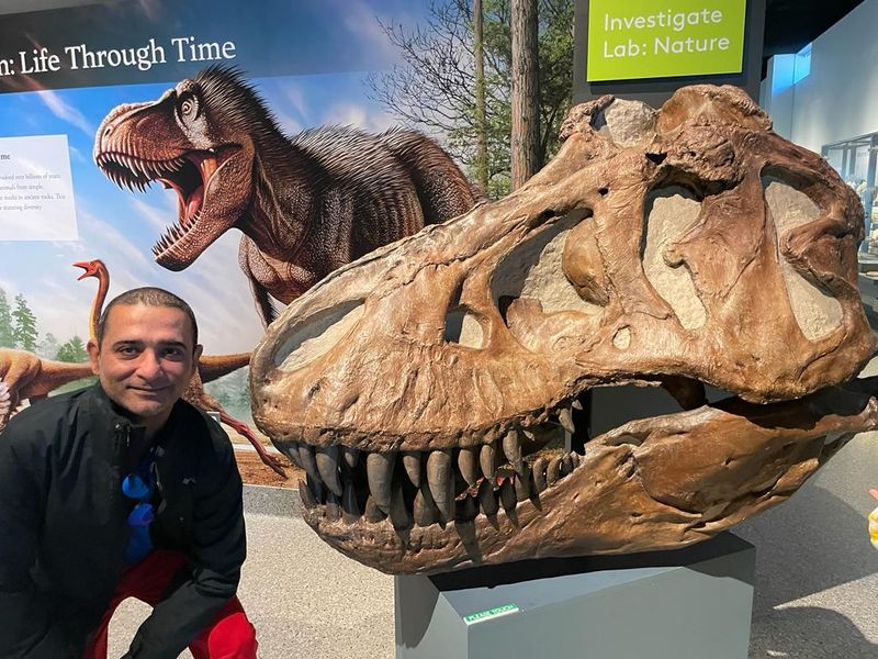 Treat The Dinosaur Gallery Like A Conversation, Not A Checklist