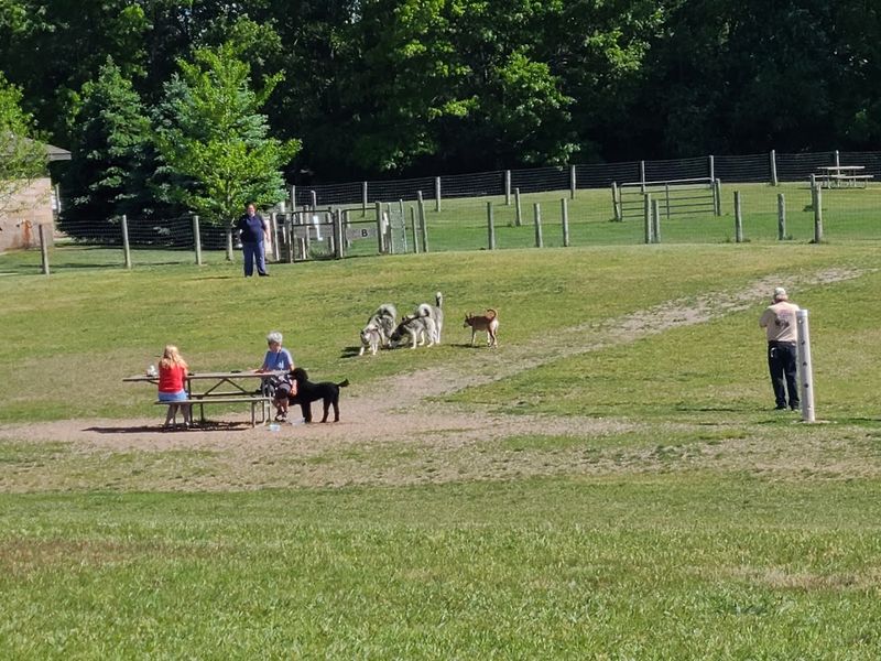 Treat The Dog Area As Its Own Destination