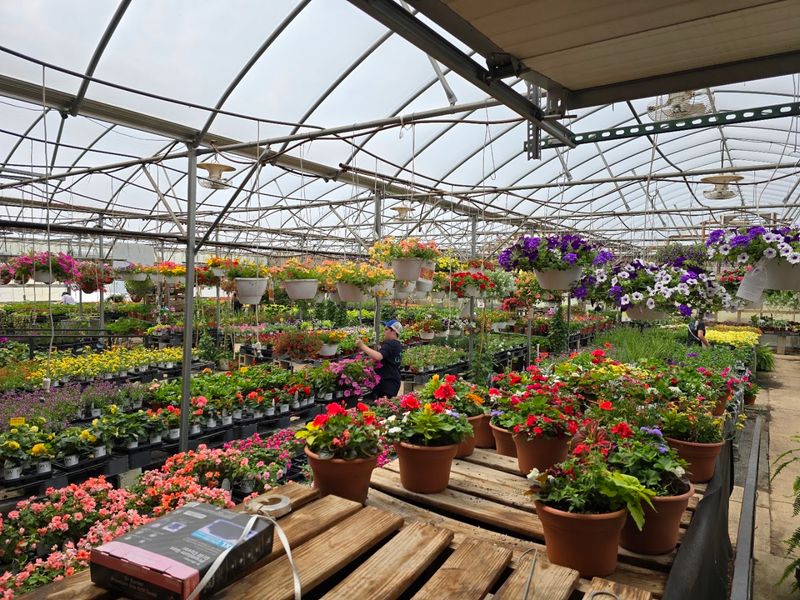 Treat The Greenhouses Like A Slow Walk