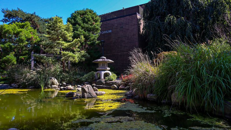 Pause On The Moon-Viewing Deck