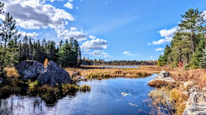 Treat The Whole Park Like Habitat Treat The Whole Park Like Habitat