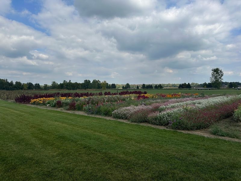 Remember That This Began As A Sod Farm