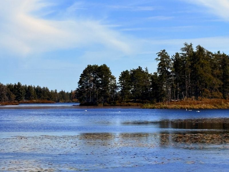 Treat Wildlife Watching Like A Waiting Game