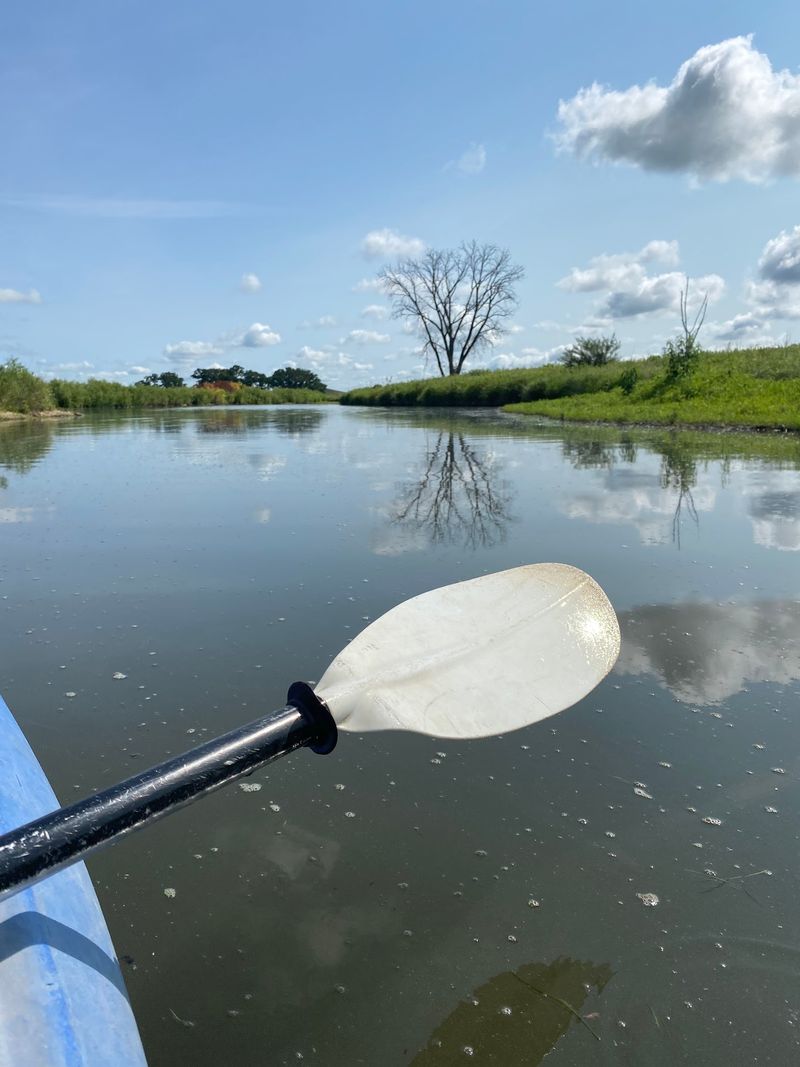 Treat the Mississippi as Moving, Traffic-Exposed Water