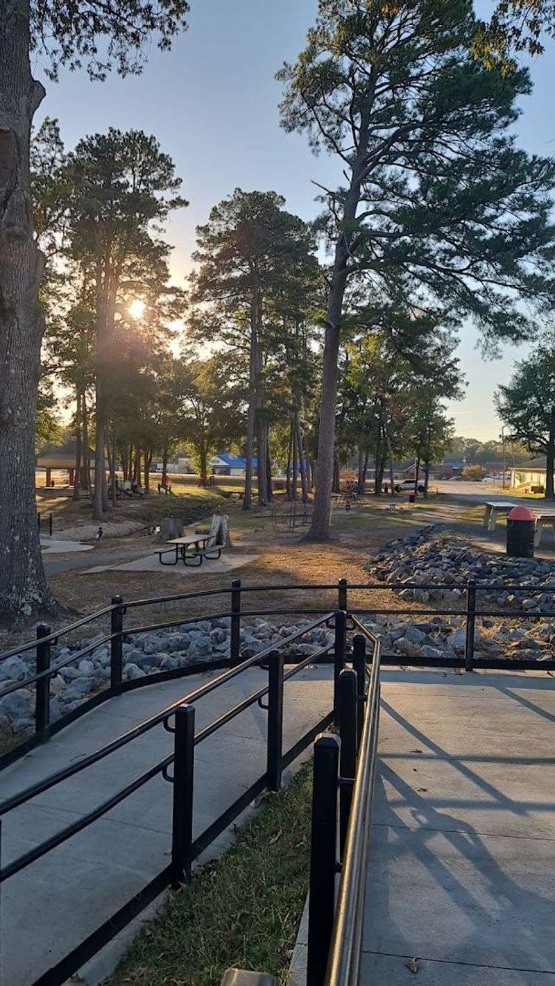 Tree-Lined Parks Made For Slower Afternoons