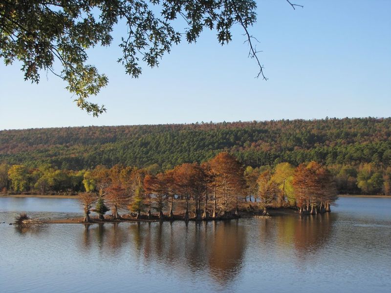 Calm Water Reflection Patterns
