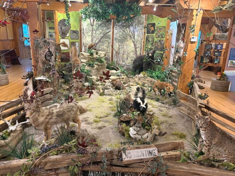 Tree Panels, Fossils, And A Wildlife Exhibit