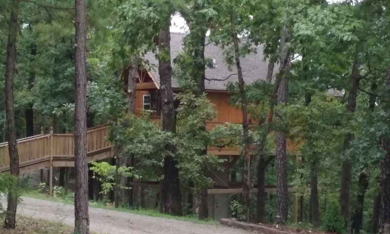 Treehouse Paths Rise Into The Forest Canopy Treehouse Paths Rise Into The Forest Canopy