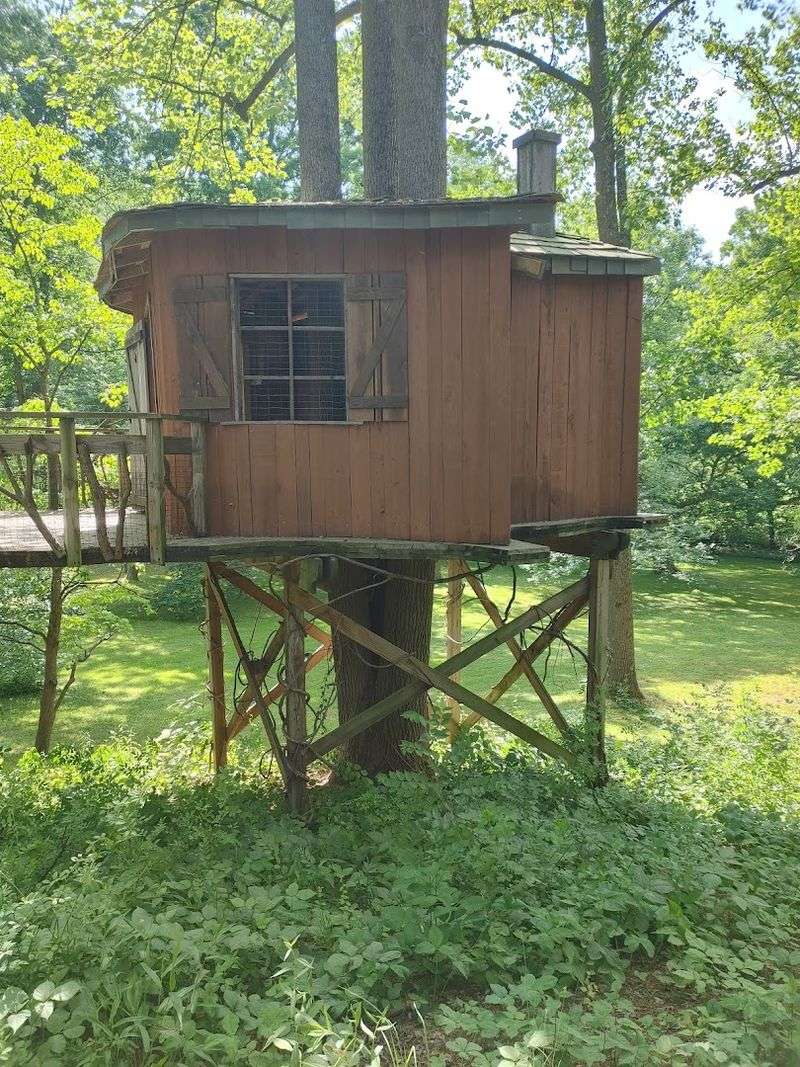 Treehouses That Kids (And Adults) Cannot Resist