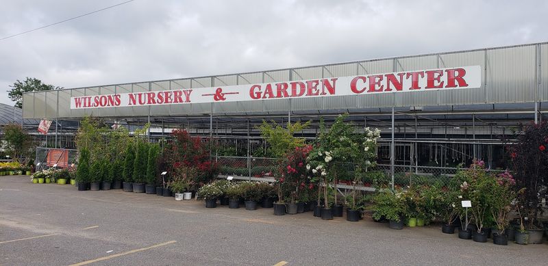 Trees And Shrubs Get Their Own Big Moment Here