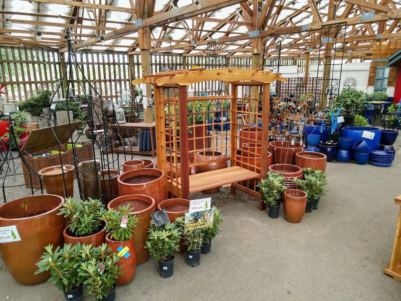 Trees, Shrubs And Northwest-Friendly Perennials