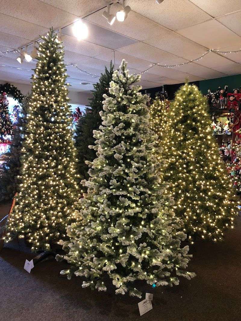 Trees That Sell The Dream Trees That Sell The Dream