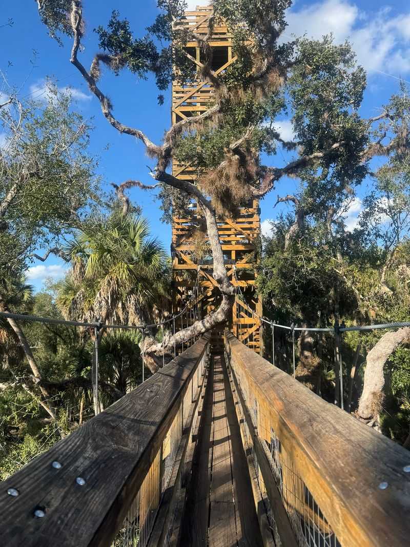Treetop Thrills On The Canopy Walkway
