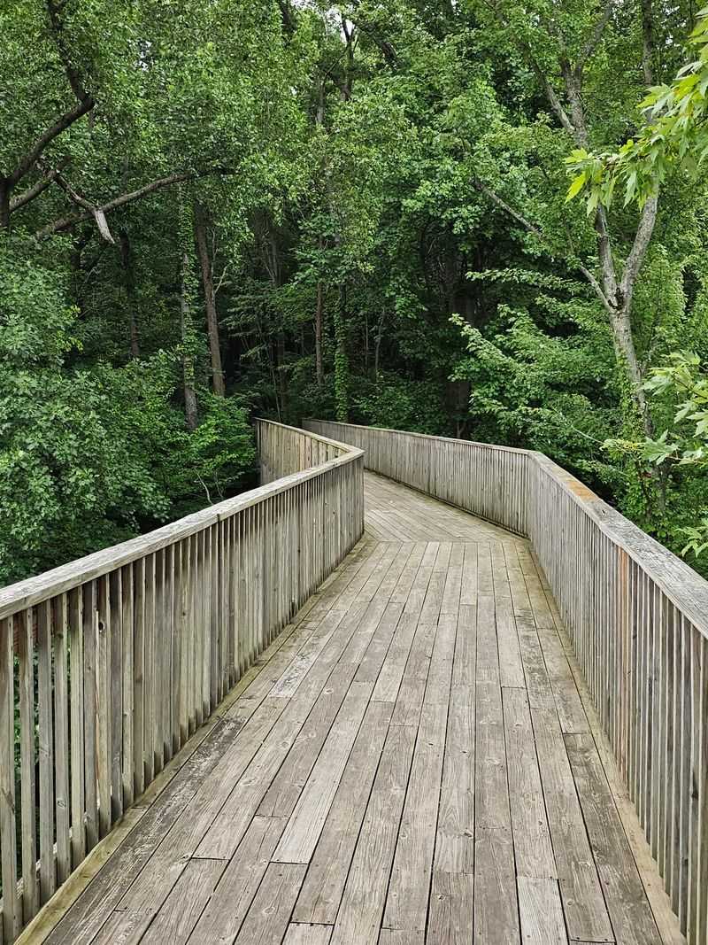 Treetop Views At Sarett Nature Center