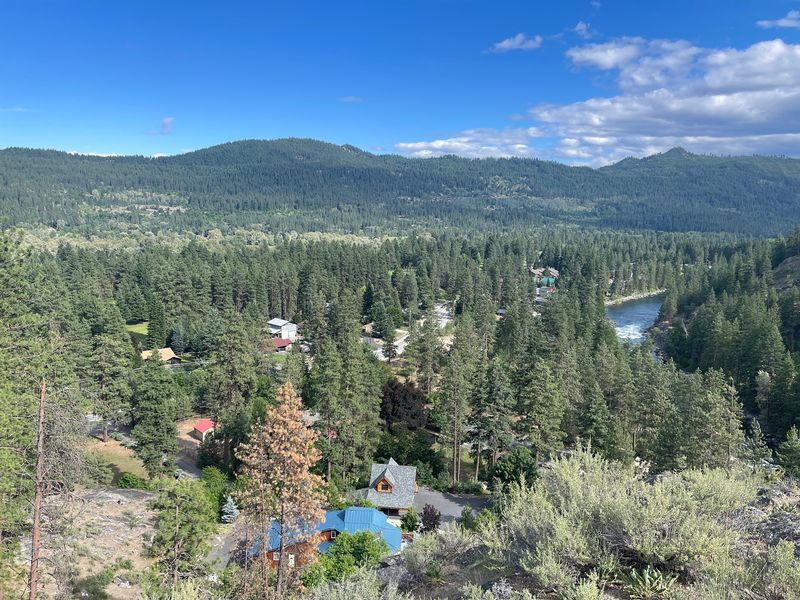 Treetop Views That Steal The Show