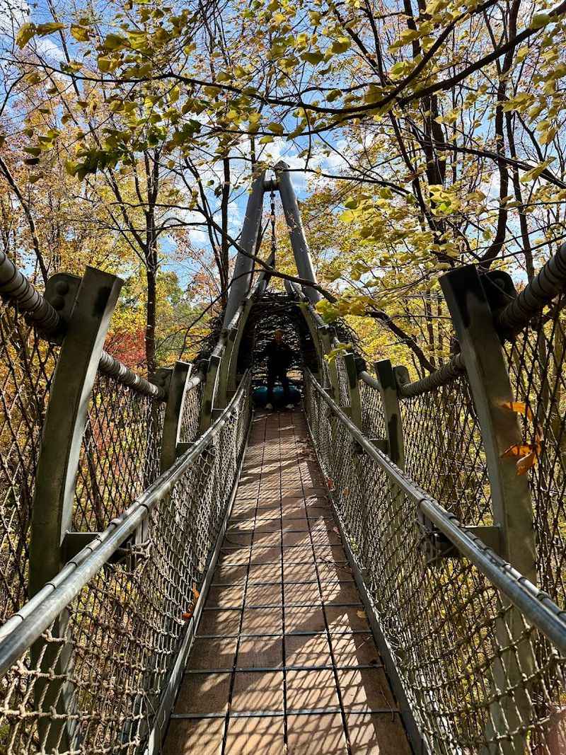 Treetop Walk Above The Canopy Treetop Walk Above The Canopy