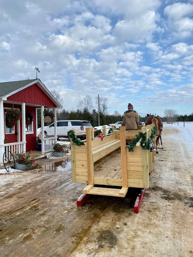 Cook Family Farm, Gaylord