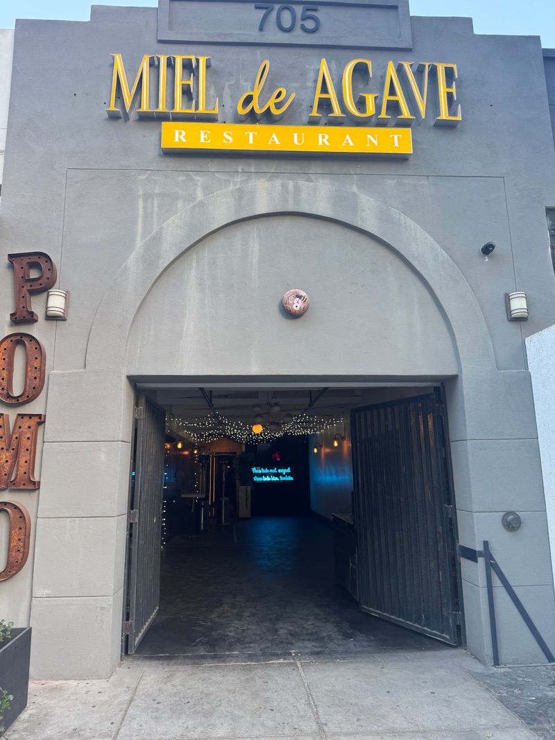 Live Music That Elevates Every Evening