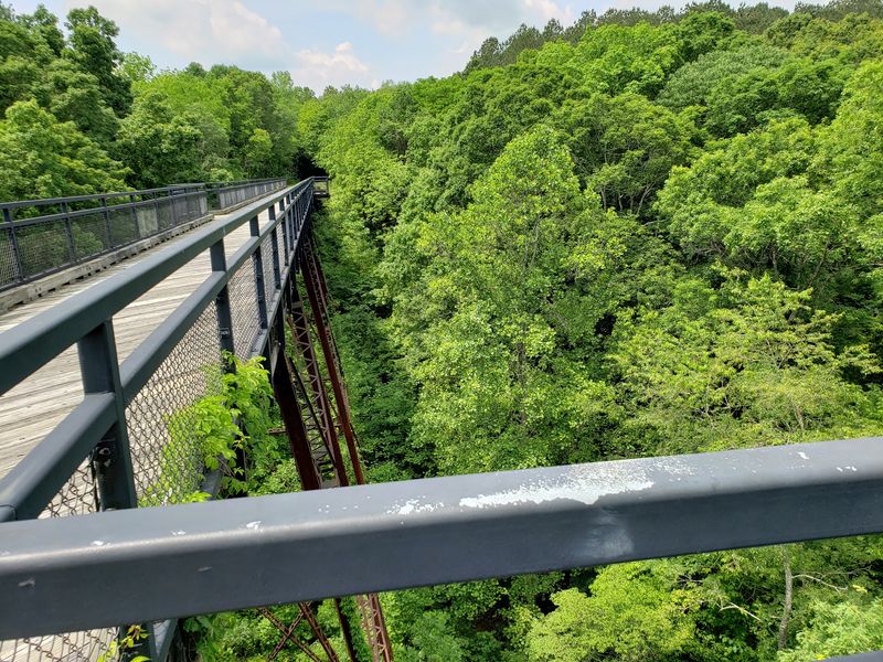 Trestles Over Creeks And Hollows
