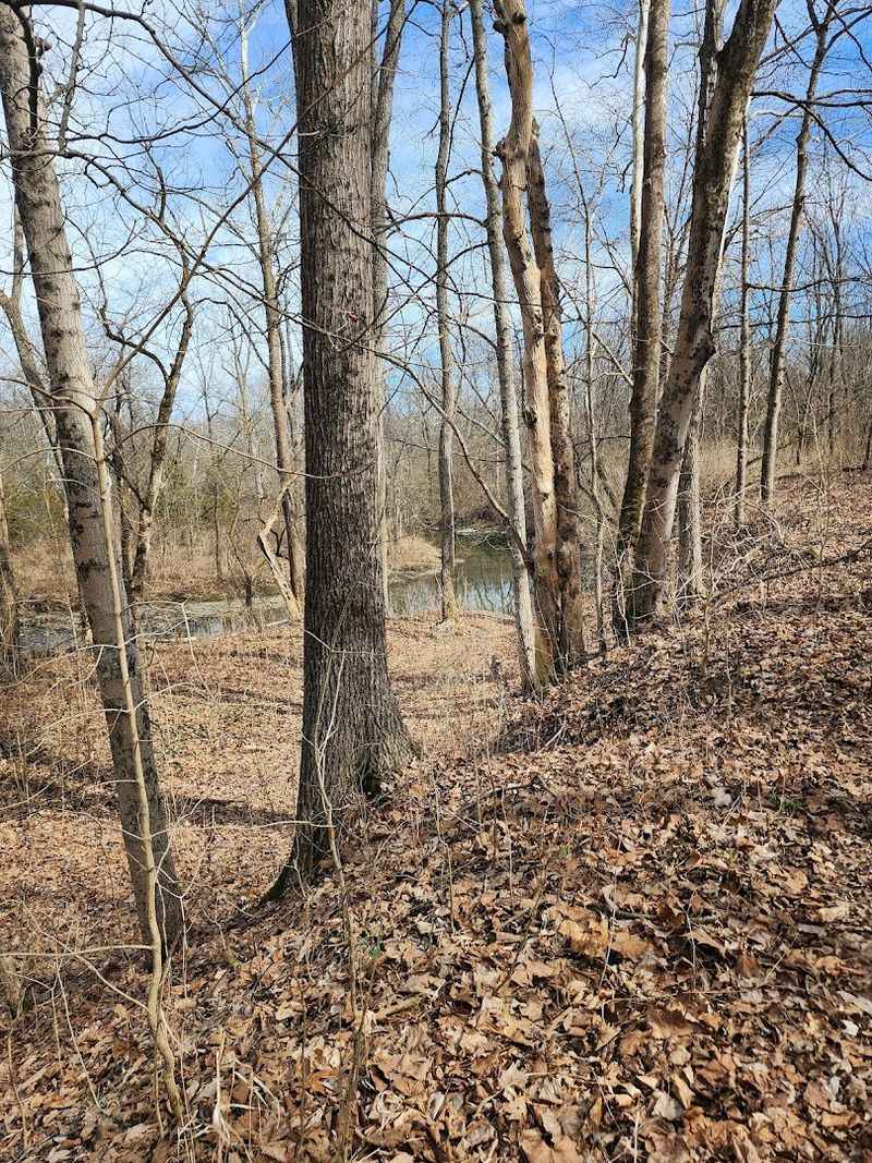 Trillium Trail Nature Sanctuary