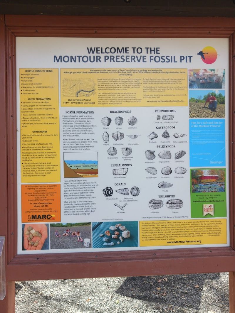 A Graphic Fossil Guide Is Posted Right At The Entrance